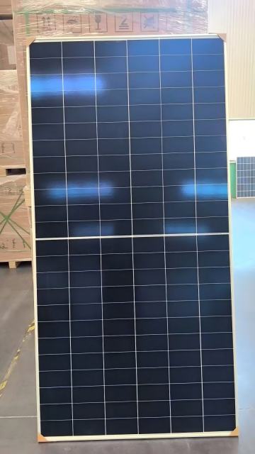 Longi Hi Mo X10 Bifacial Solar Panel